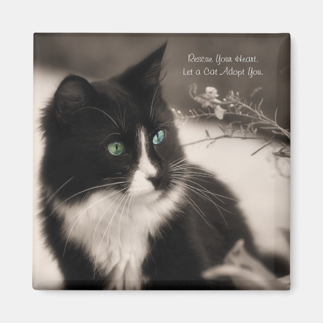 Imã Pet Adoption Resgate Seu Coração E Adote Um Gato (Frente)