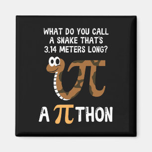 Imã Pet Cobra Math Pi Day Python