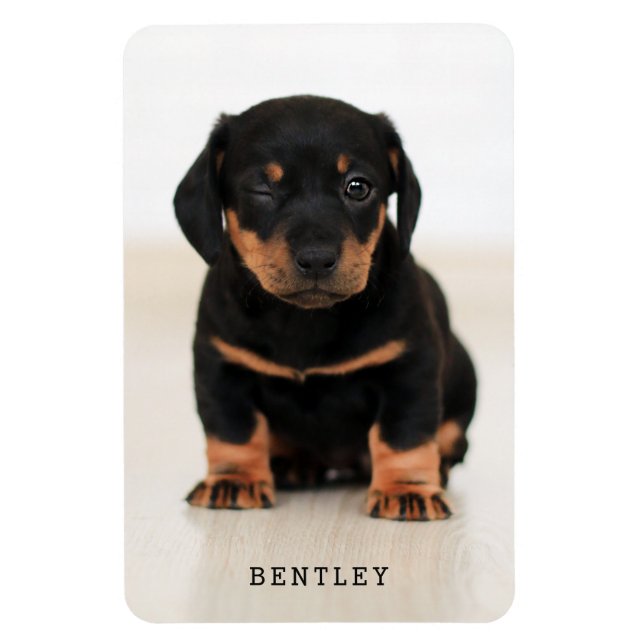 Ímã Pet de Fotografia Simples de Cheio Moderno| Preto (Vertical)