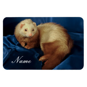 Ímã Pet Ferret Personalizado
