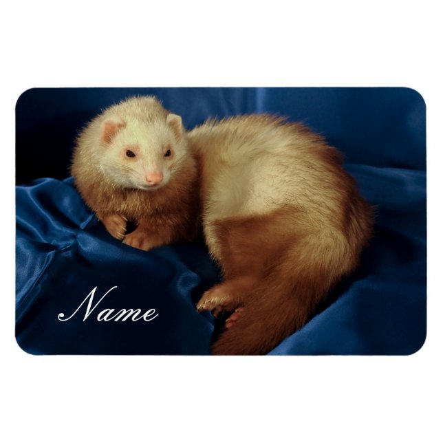 Ímã Pet Ferret Personalizado (Horizontal)