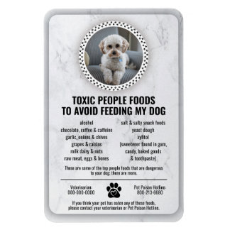 Ímã Pet Food Safety Toxic Foods for Dogs to Avoid