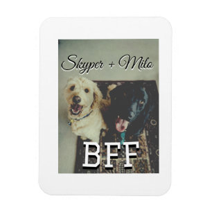 Ímã Pet Frities adiciona nome e foto animal amor