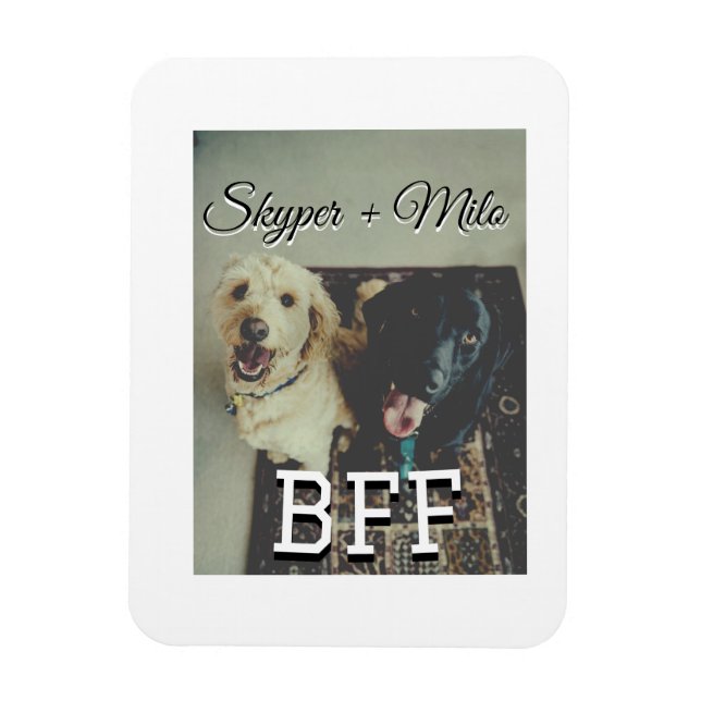 Ímã Pet Frities adiciona nome e foto animal amor (Vertical)