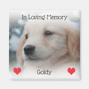 Imã Pet Memorial com Corações e Foto