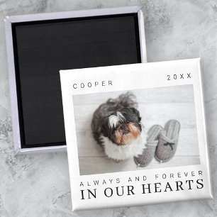 Imã Pet Memorial Cote Foto Simples Moderna Chic