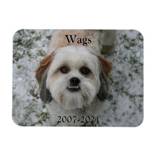Ímã Pet Memorial Magnet