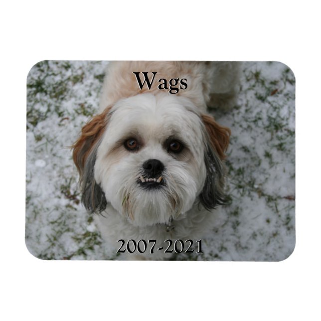 Ímã Pet Memorial Magnet (Horizontal)