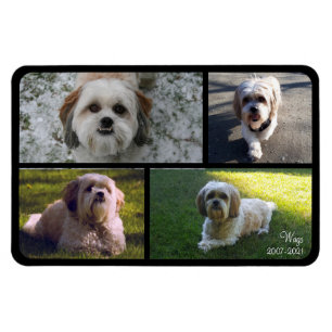 Ímã Pet Memorial Photo Collage Name with Dates Magnet