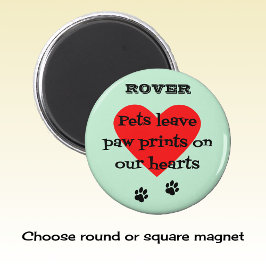 Imã Pet memory custom name paw imprime aqua