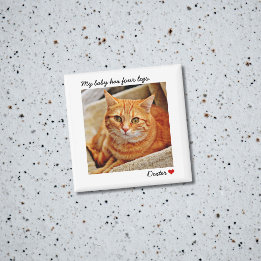 Imã Pet Personalizado de Fotografia Grande