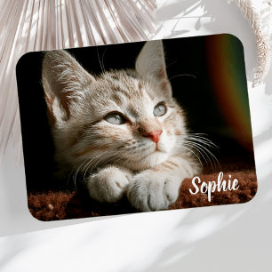 Ímã Pet Photo Block