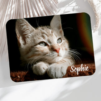 Ímã Pet Photo Block