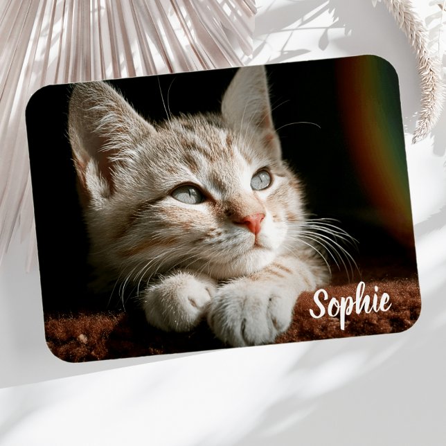 Ímã Pet Photo Block (Cat Photo Magnet)