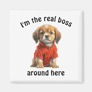 Imã Pet Photo Boss Dog Personalizado