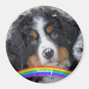 Imã Pet Photo - Cão - Cat - Pet Memorial