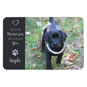 Ímã Pet Photo - Dog Photo - Cat Photo - Pet Memorial