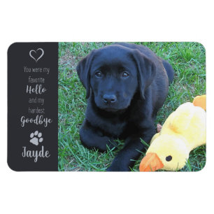 Ímã Pet Photo - Dog Photo - Cat Photo - Pet Memorial