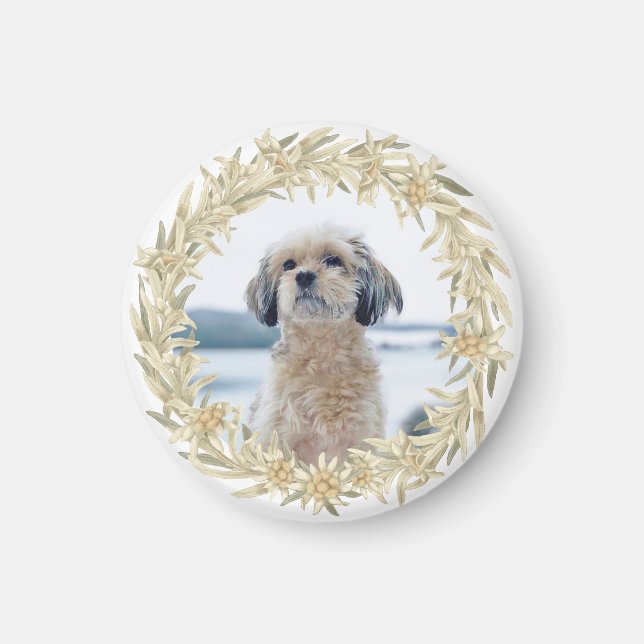 Imã Pet Photo Edelweiss Alpino Floral Wreath (Frente)