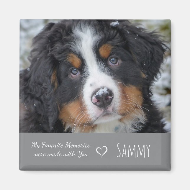 Imã Pet Photo Memorial-Dog Lover Gift - Pet Losse Cita (Frente)
