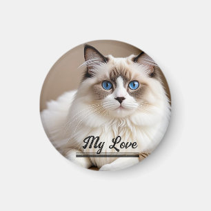Imã Pet Photo ''My Love'' Personalize