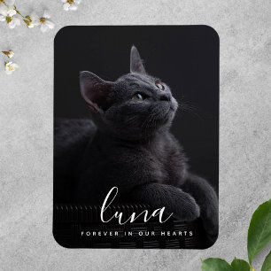 Ímã Pet Sympathy Memorial Tribute Lembrança