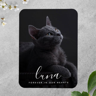 Ímã Pet Sympathy Memorial Tribute Lembrança