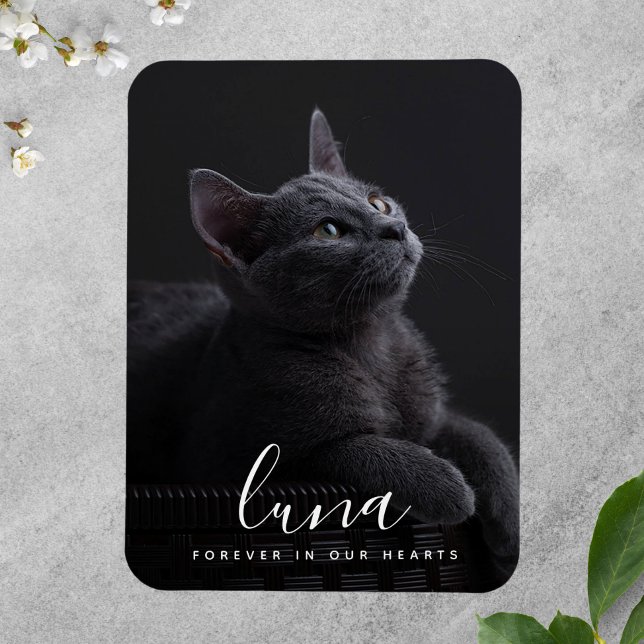 Ímã Pet Sympathy Memorial Tribute Lembrança (Photo Memorial Magnet)