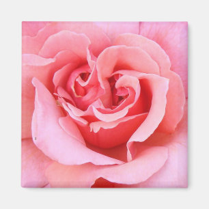 Imã Pétalas cor-de-rosa
