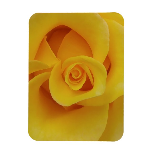 Ímã Pétalas de Rosa Amarela Romântica (Vertical)