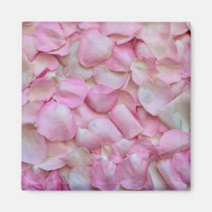 Imã Pétalas Rosa Rosa Rosa Rosa Rosa Rosa