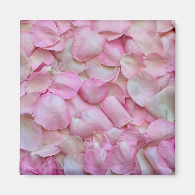 Imã Pétalas Rosa Rosa Rosa Rosa Rosa Rosa Rosa Rosa Ro (Frente)