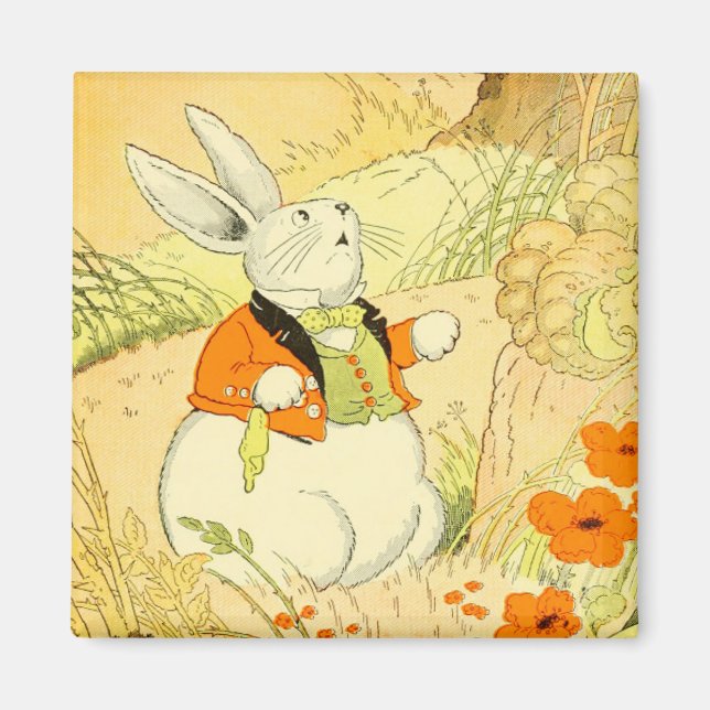 Imã Peter Rabbit Magnet (Frente)