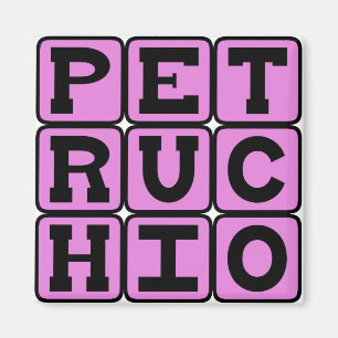 Imã Petruchio, Personagem de A Megera Domada
