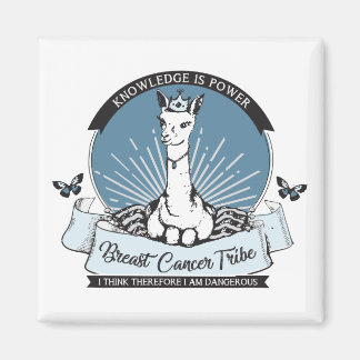 Imã PG imã, várias opções de cor/forma/tamanho