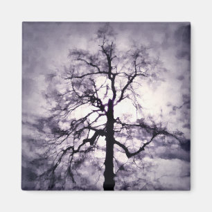 Imã Phantastes Magnet