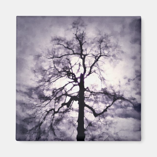 Imã Phantastes Magnet (Frente)