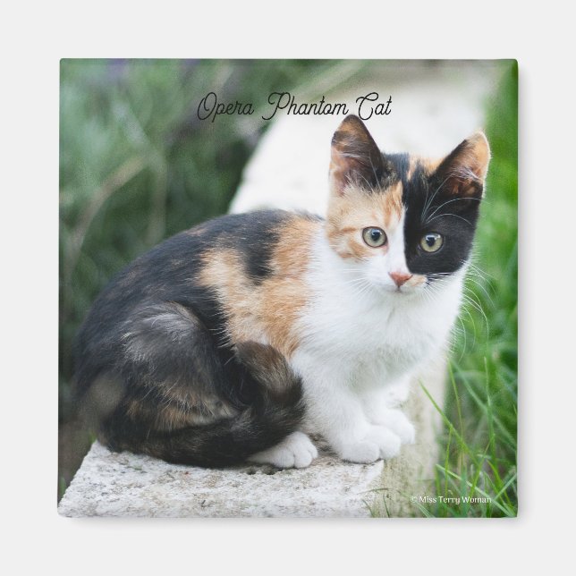 Imã Phantom Opera Cat (Frente)