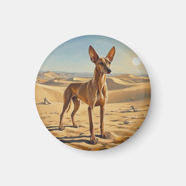 Imã Pharaoh Hound (Frente)