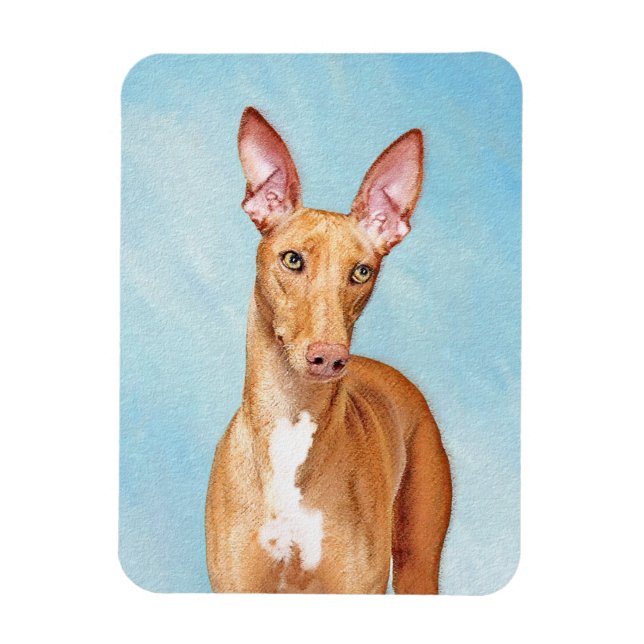 Ímã Pharaoh Hound Painting - Arte Cachorra Original (Vertical)