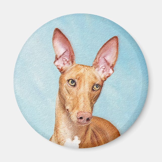 Imã Pharaoh Hound Painting - Arte Cachorra Original (Frente)