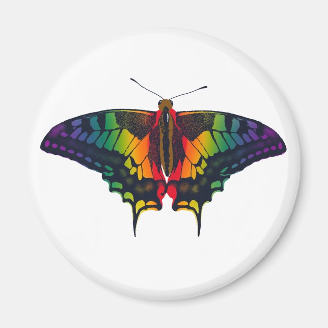 Imã Philadelphia Rainbow Prim Flag Swallowtail (Frente)