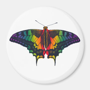 Imã Philadelphia Rainbow Prim Flag Swallowtail