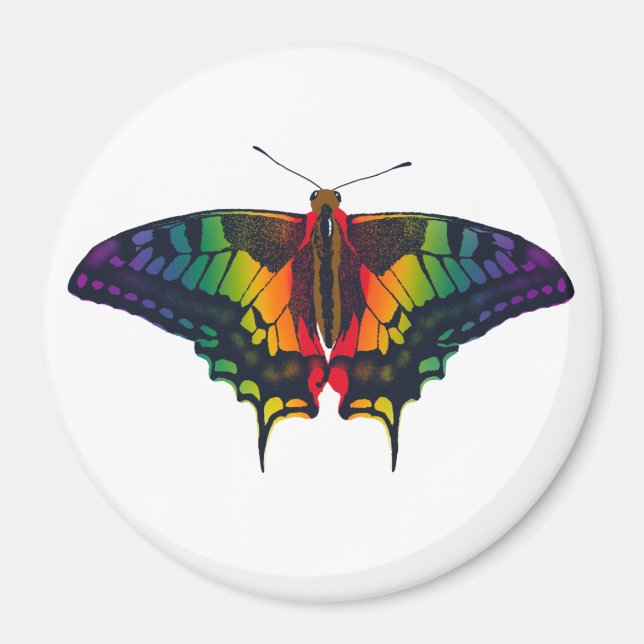 Imã Philadelphia Rainbow Prim Flag Swallowtail (Frente)