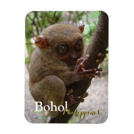 Ímã Philippine Tarsier de Bohol
