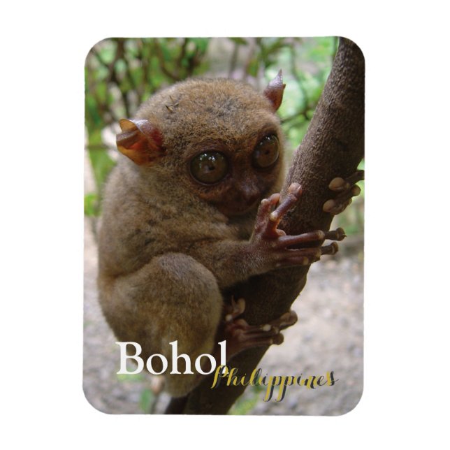 Ímã Philippine Tarsier de Bohol (Vertical)