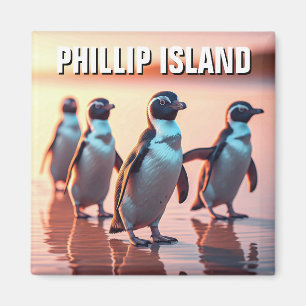 Imã Phillip Island Austrália