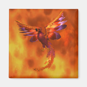 Imã Phoenix