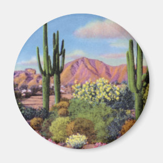 Imã Phoenix Arizona Camelback Mountain