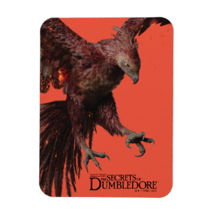 Ímã Phoenix Flying Graphic